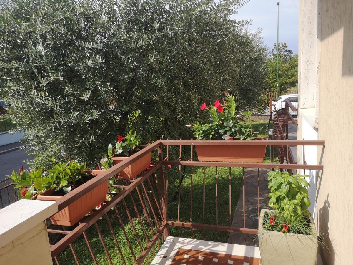 Apartament Ai Quattro Ulivi Peschiera del Garda Zewnętrze zdjęcie