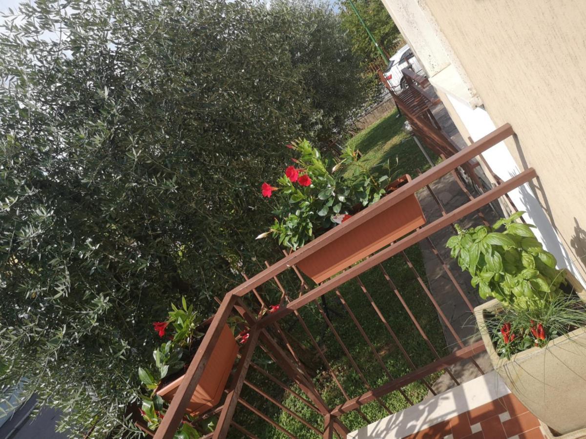 Apartament Ai Quattro Ulivi Peschiera del Garda Zewnętrze zdjęcie